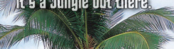 www.traveljungle.co.uk